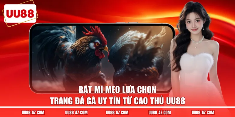 Bật mí mẹo lựa chọn trang đá gà uy tín từ cao thủ UU88