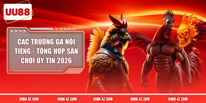 Các trường gà nổi tiếng