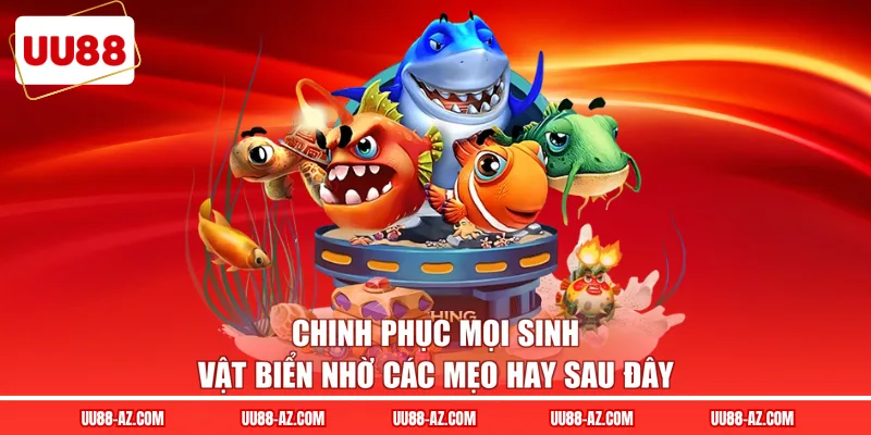 Chinh phục mọi sinh vật biển nhờ các mẹo hay sau đây