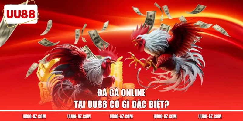 Đá gà online tại UU88 có gì đặc biệt?
