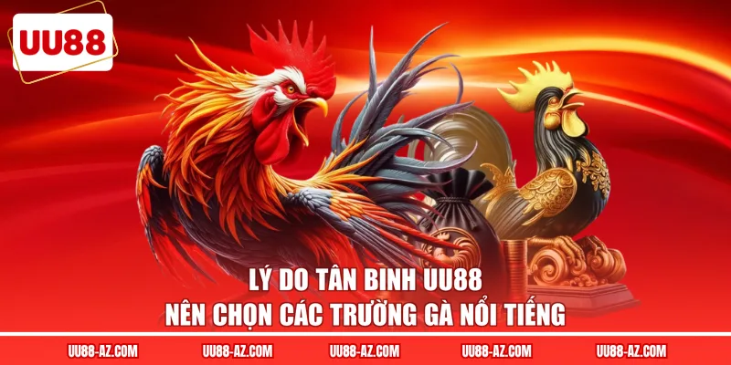 Lý do tân binh UU88 nên chọn các trường gà nổi tiếng