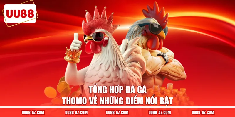 Tổng hợp đá gà Thomo về những điểm nổi bật