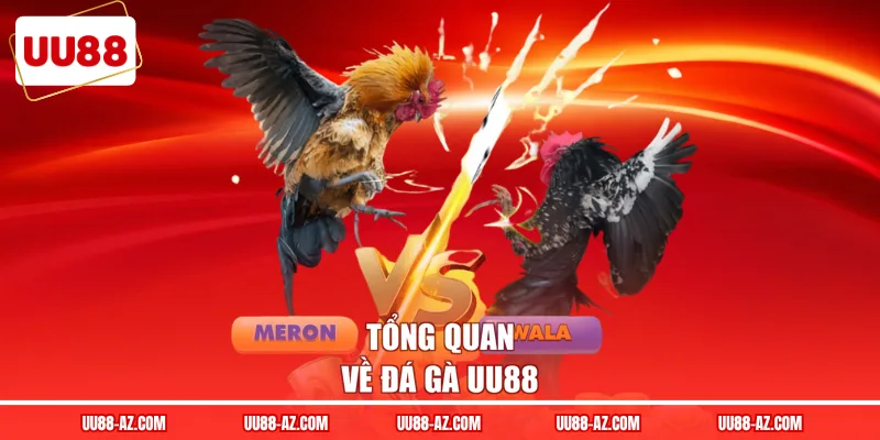 Tổng quan về đá gà UU88