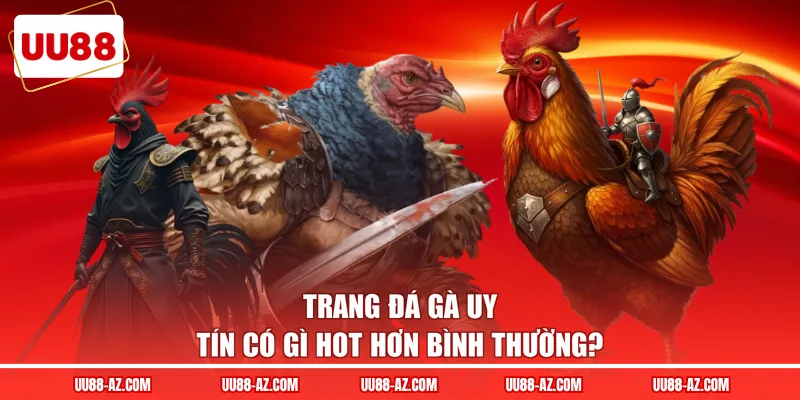 Trang đá gà uy tín có gì hot hơn bình thường?